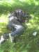 alko120_small.jpg