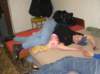 alko155_small.jpg