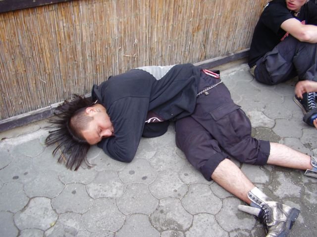 alko184.jpg