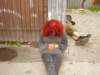 alko185_small.jpg