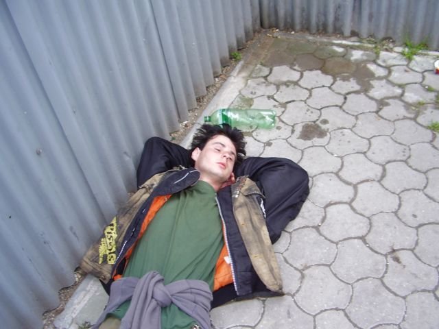 alko186.jpg