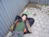 alko186_small.jpg
