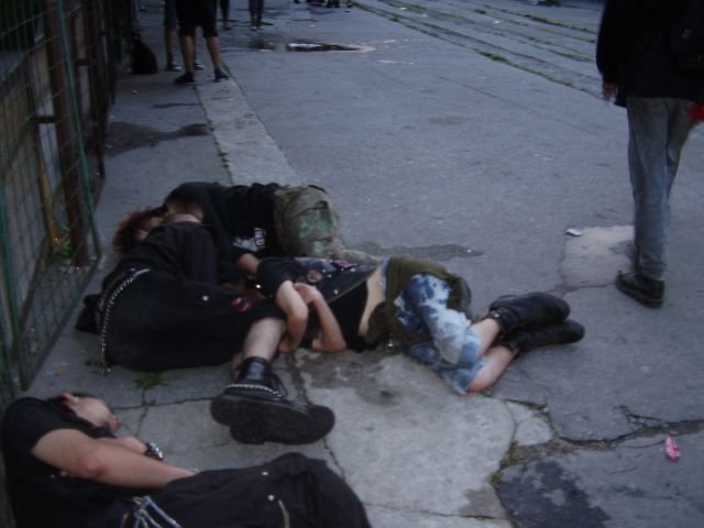 alko191.jpg
