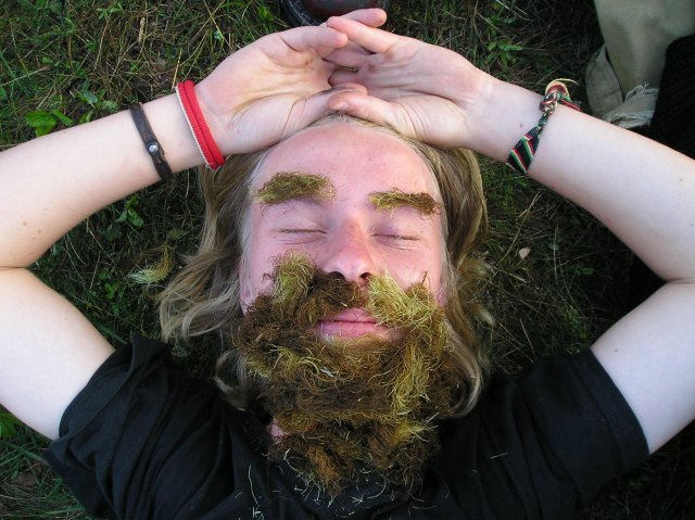 alko240.jpg