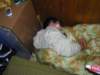 alko254_small.jpg