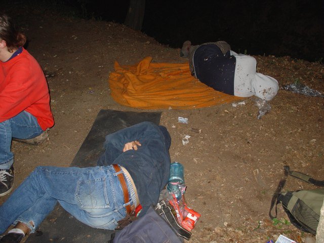 alko268.jpg