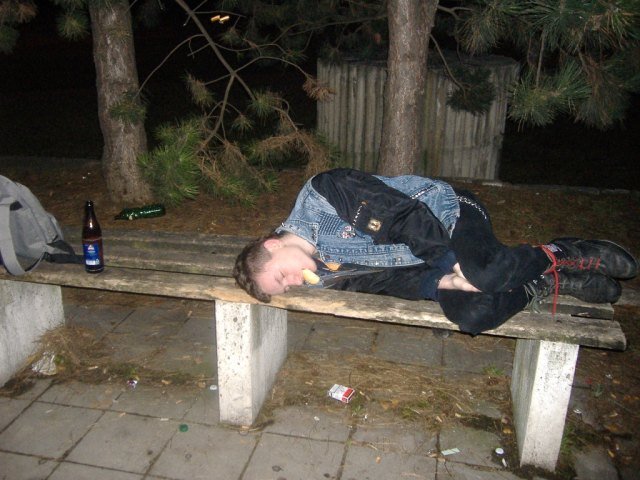 alko272.jpg