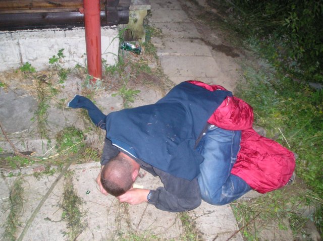 alko305.jpg