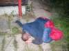 alko305_small.jpg