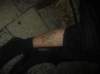 alko319_small.jpg