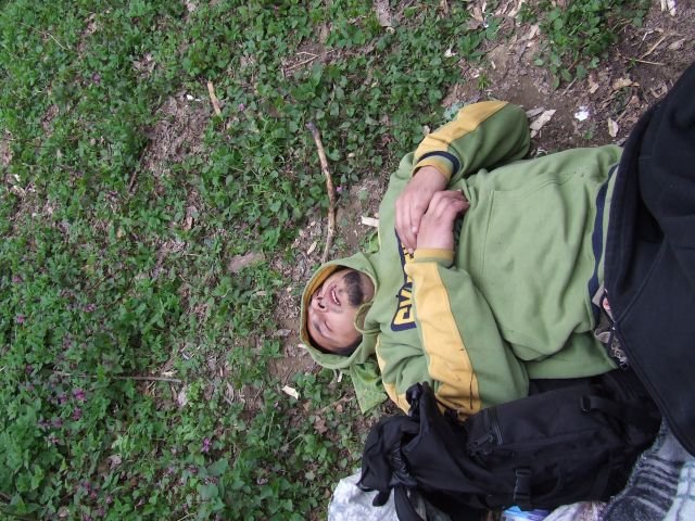 alko349.jpg
